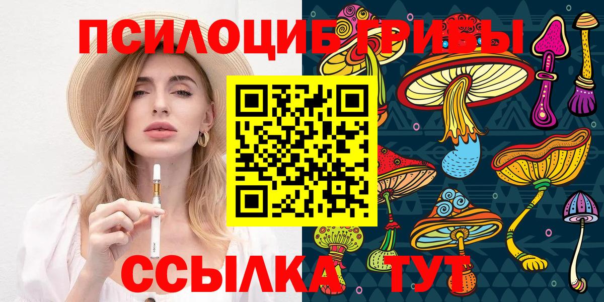 Коломна  Галлюциногенные грибы прущие грибы  Вход с VPN  Псилоцибиновые грибы мицелий 